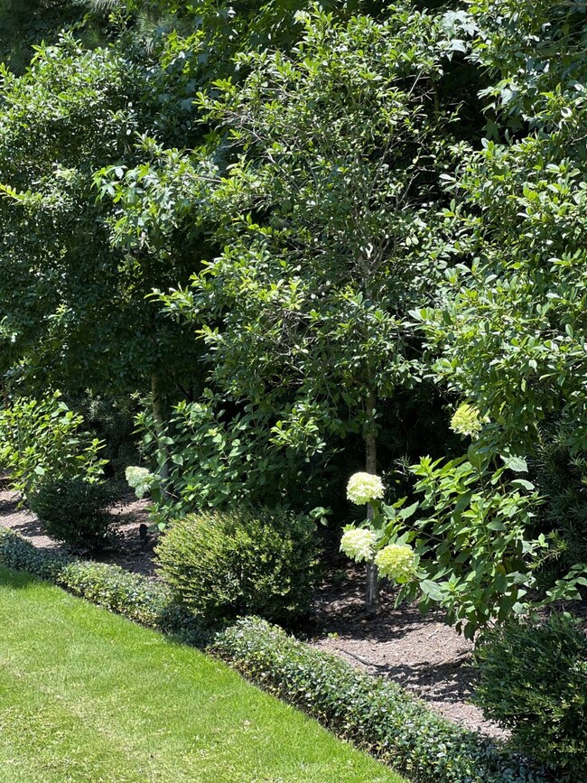 3122 W Benders Landing Blvd, Spring, TX 77386 - photo 4