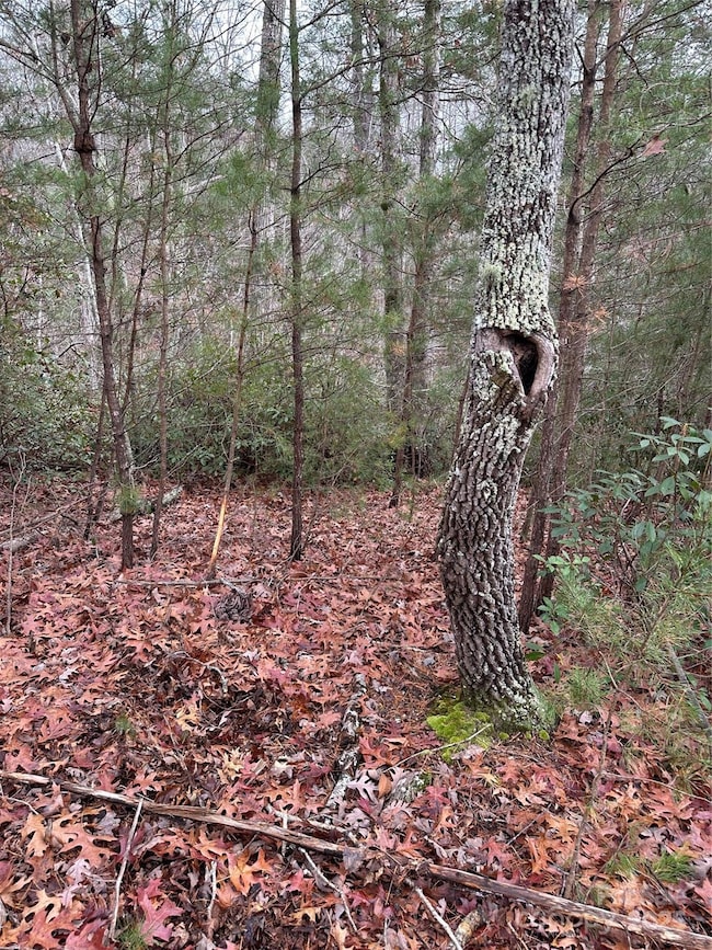 00 Jackson Cove Pkwy unit 2, Mill Spring, NC 28756 - photo 7