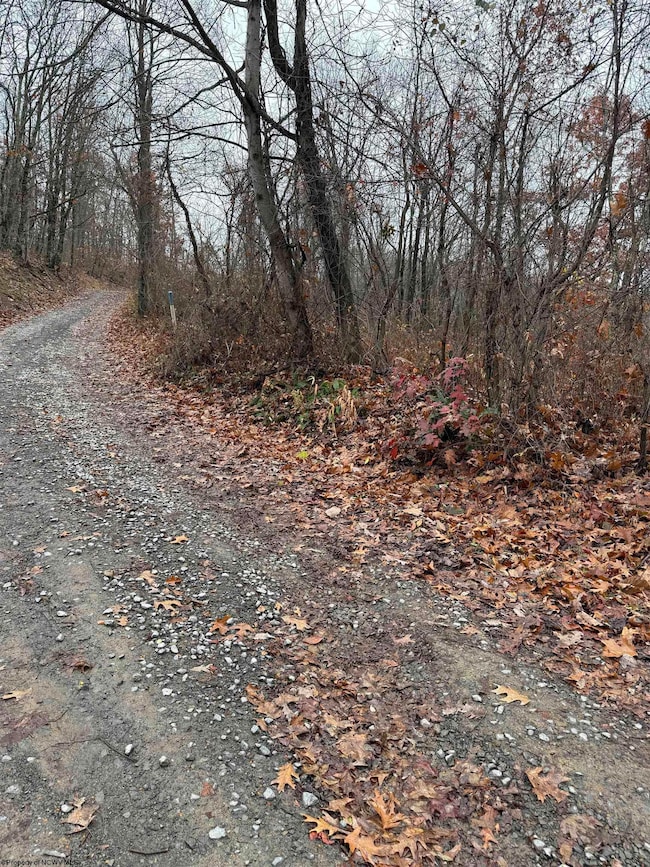 TBD Mount Morris Rd, Morgantown, WV 26501 - photo 7