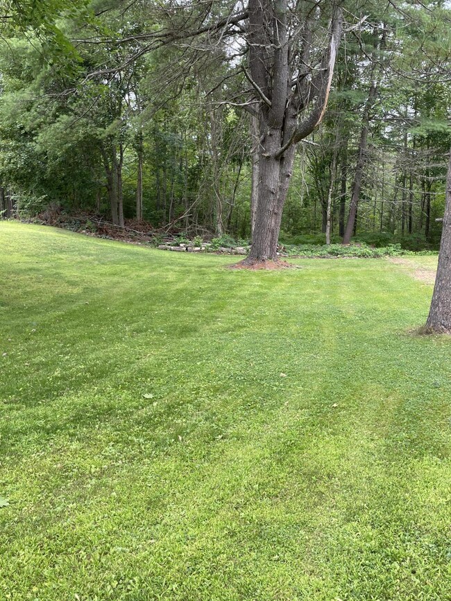 25 True St, Mechanic Falls, ME 04256 - photo 5