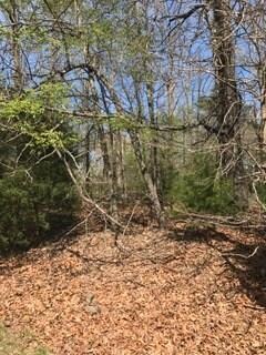 Lot 36 Scarborough Ln, Bella Vista, AR 72715 - photo 4