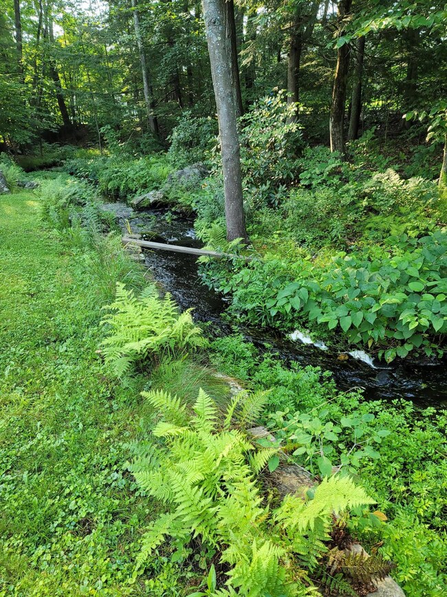 Wondsor St brook