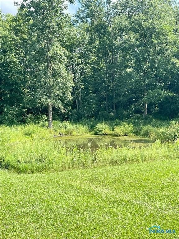 Smaller Pond