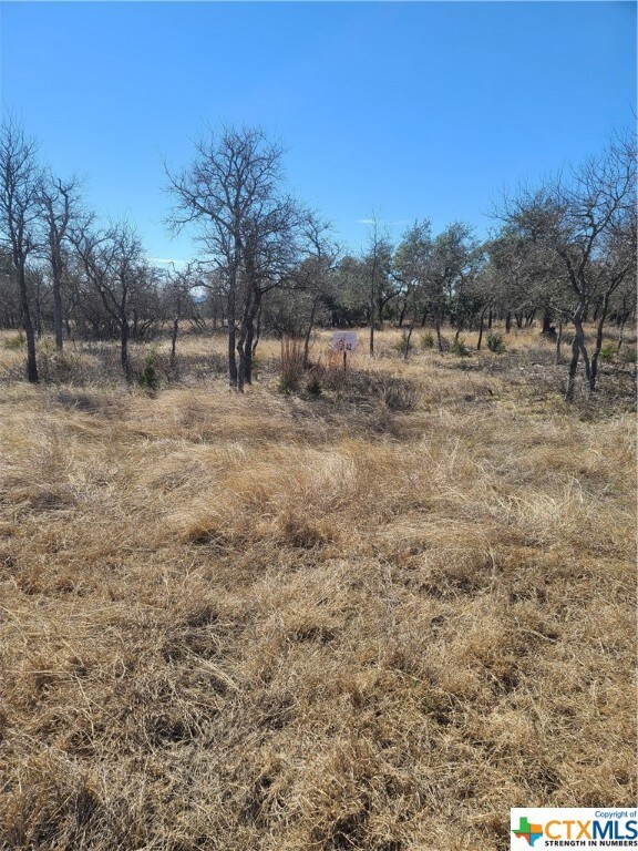 Lot 42 Cottonwood Mesa Dr, Kempner, TX 76539 - photo 5