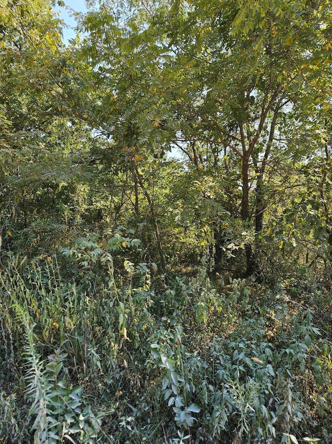 1926 E 555th Rd, Pleasant Hope, MO 65725 - photo 2