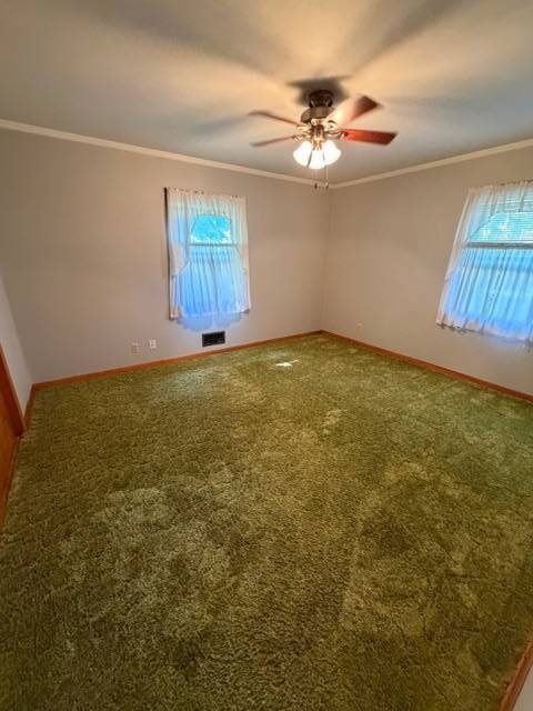 1102 Maple St, Tarkio, MO 64491 - photo 7