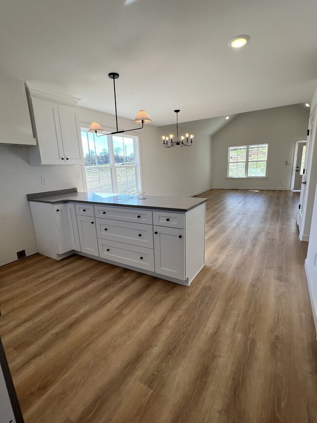 9728 Campbellsville Rd, Pulaski, TN 38478 - photo 7