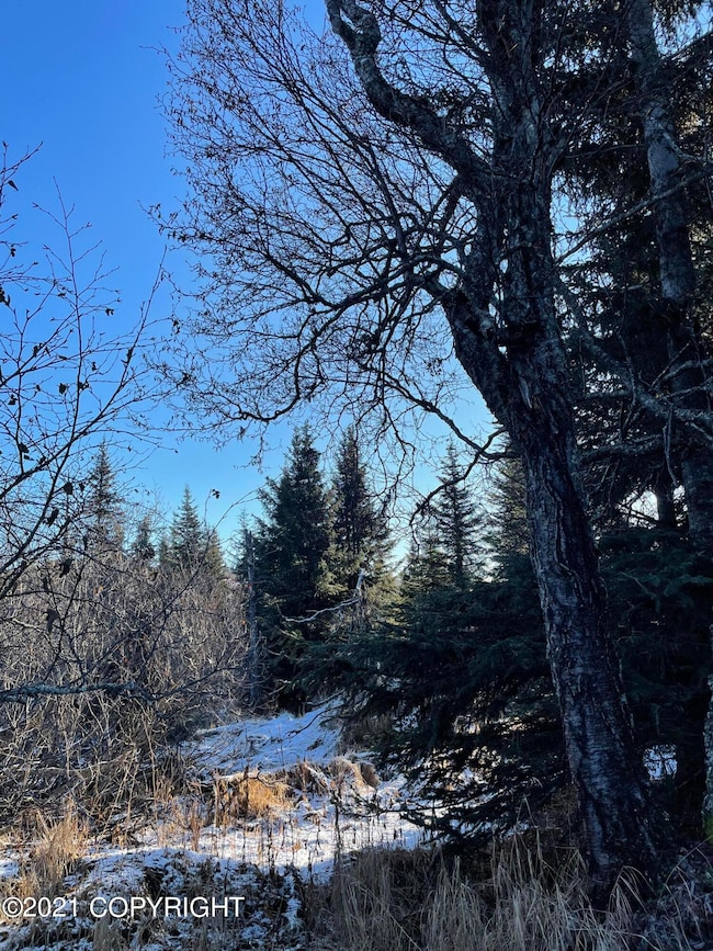 0000 Trail Rd, Anchor Point, AK 99556 - photo 6