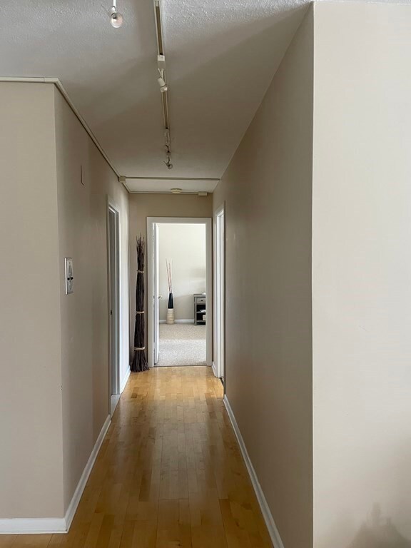 Hammond Park Condominiums unit 301, Chestnut Hill, MA 02467 - photo 5