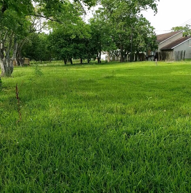 5725 Cottonwood St, Pearland, TX 77584 - photo 5