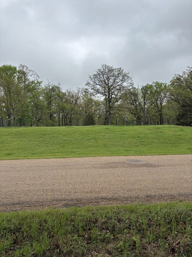 0 Esquire Estates Rd unit 108662, Mabank, TX 75156 - photo 2