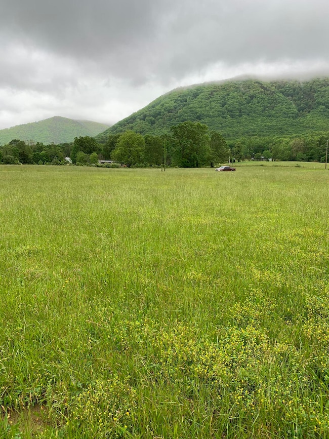 Lt 14 Old Mountain Rd, Greeneville, TN 37743 - photo 3