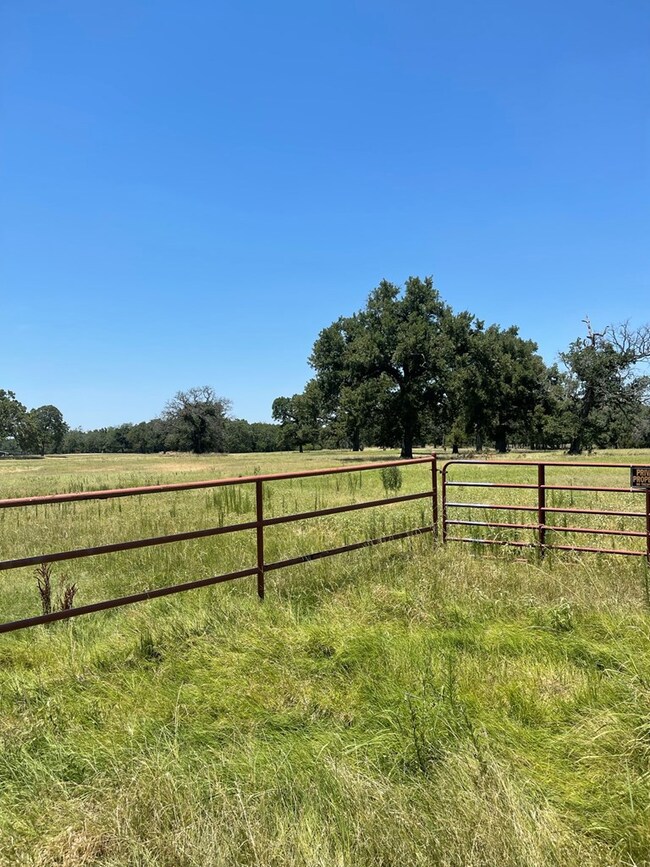 0 Cr 1200, Athens, TX 75751 - photo 5