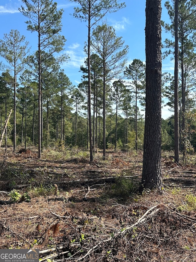 0 Seven Islands Rd unit 10585751, Madison, GA 30650 - photo 4