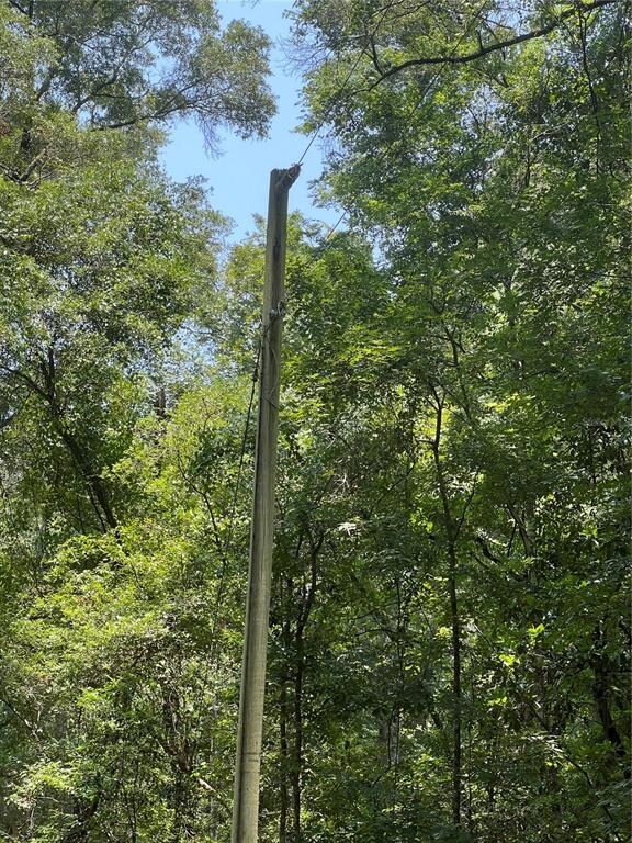 XX NE 125th Ln, Branford, FL 32008 - photo 4