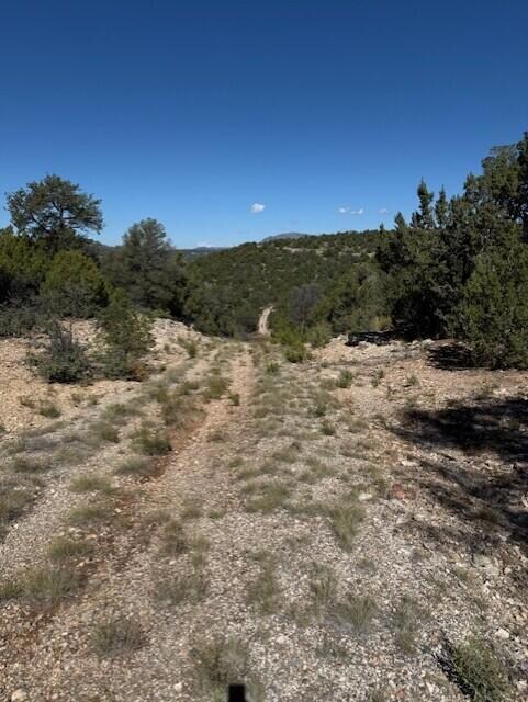0 Edgewood 7, Edgewood, NM 87015 - photo 4