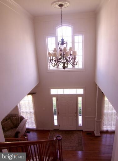 1619 Winesapp Dr, Odenton, MD 21113 - photo 6