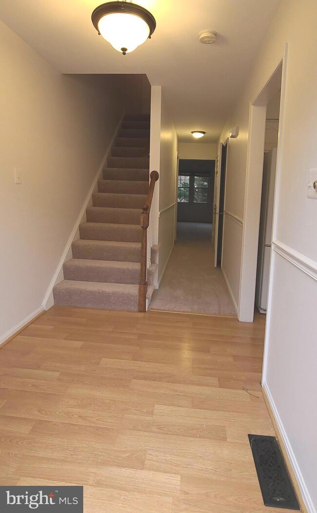 6052 Morgan Ct, Alexandria, VA 22312 - photo 4