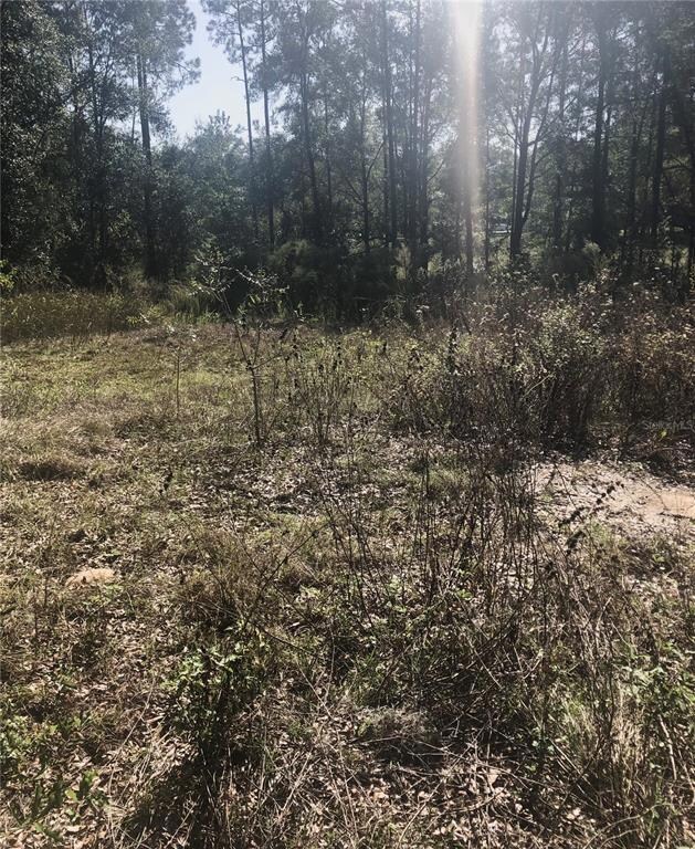 9183 SW 193rd Cir, Dunnellon, FL 34432 - photo 2