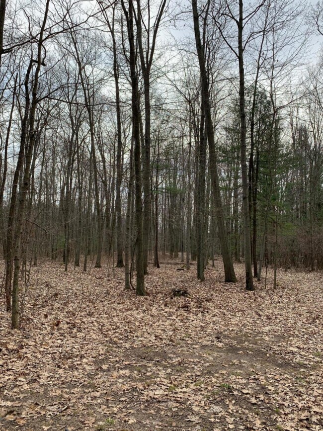 IMG-0419