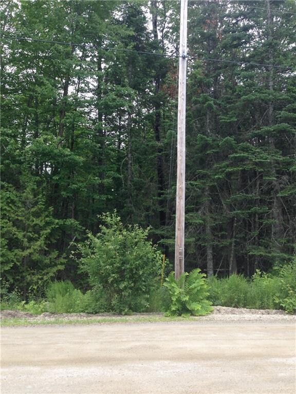 Utility pole in front of lot for...