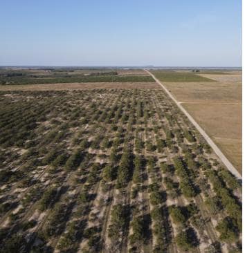 0 S Lake Patrick Rd unit 25664210, Frostproof, FL 33843 - photo 3