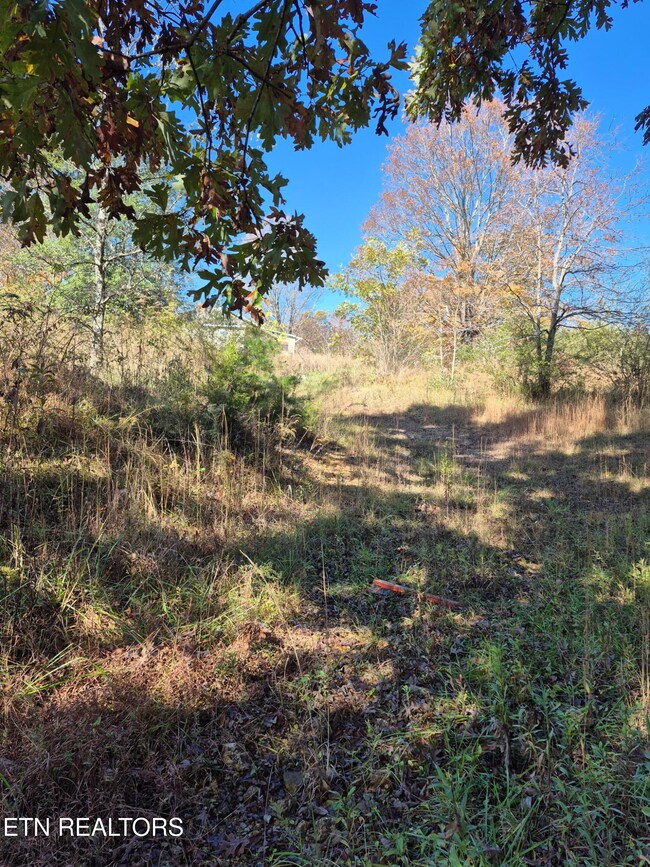 129 County Road 299, Sweetwater, TN 37874 - photo 5