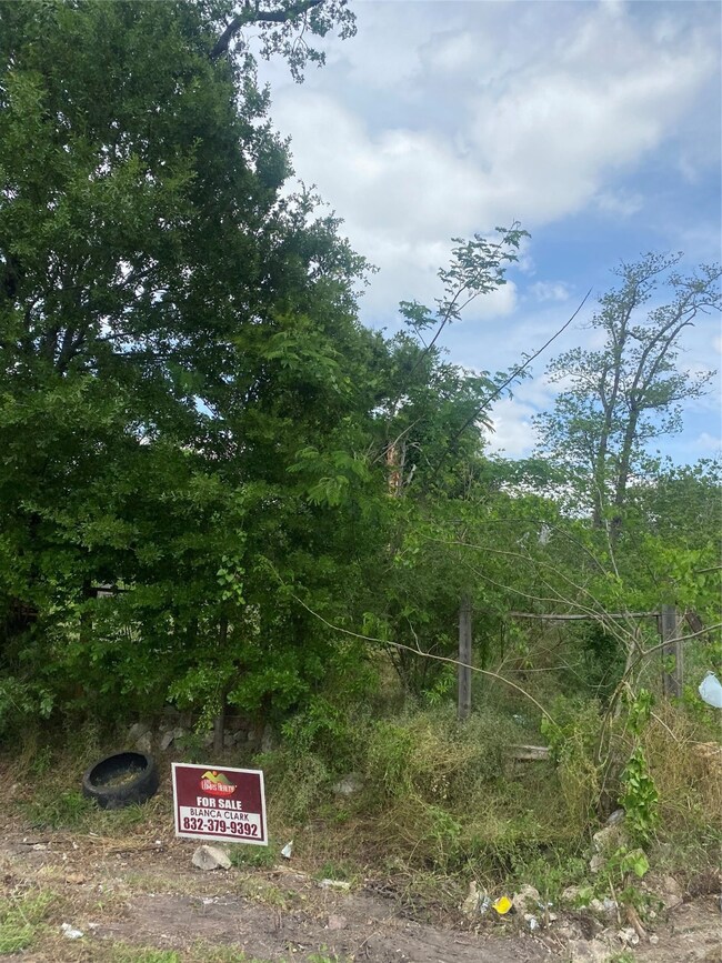 8406 Prairie View Dr, Houston, TX 77088 - photo 4