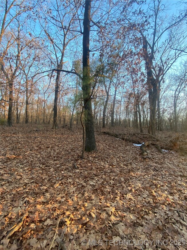 great outdoors