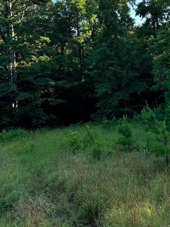 188 Tweedy Rd, Mc Rae, AR 72102 - photo 2