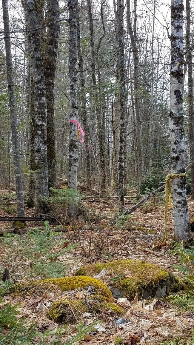 62 Charleston Rd, Dexter, ME 04930 - photo 6