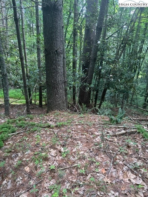 Lot 17 Sunny Ln, Crumpler, NC 28617 - photo 5