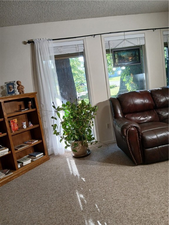 1802 Shellie Ln, Harrison, AR 72601 - photo 7