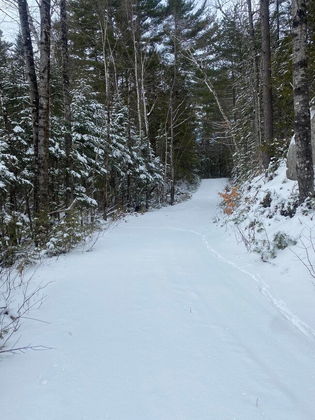 Lot 12 Jim Eaton Hill Rd, T3 R4 Bkp Wkr, ME 04691 - photo 4
