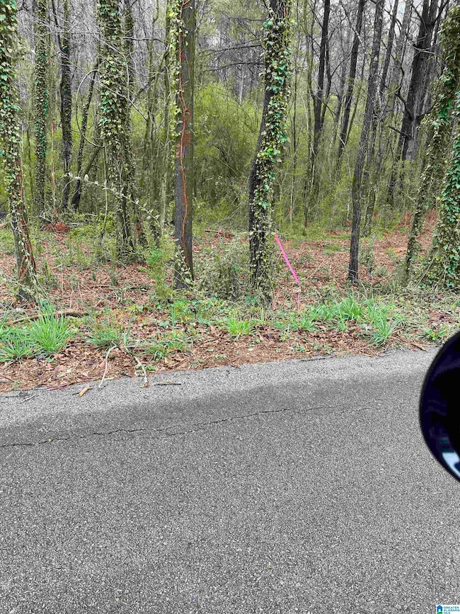 0 Osborn St unit 1 21413432, Heflin, AL 36264 - photo 4