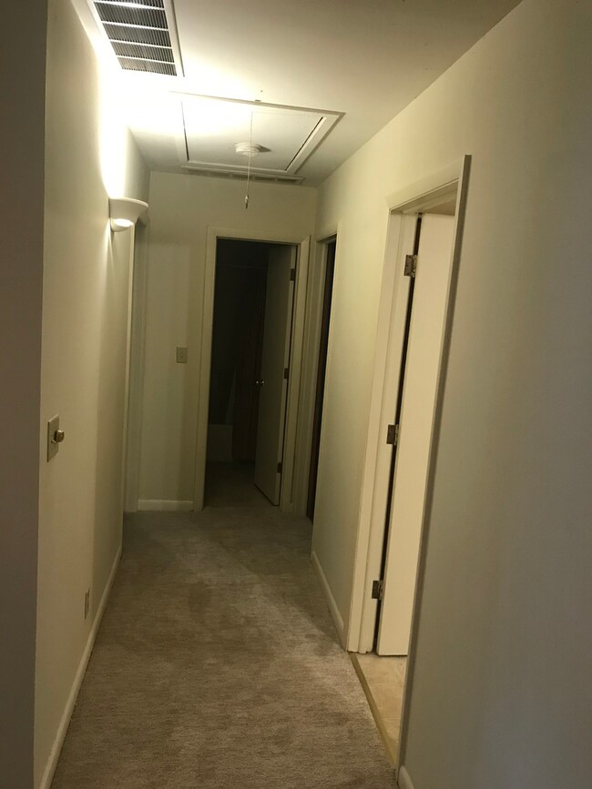 Main home hall leading to bedrooms