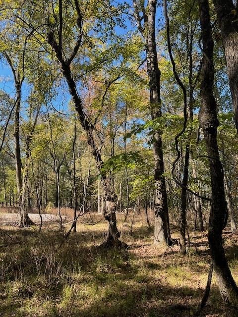 196 Deer Valley Cir, Broken Bow, OK 74278 - photo 5