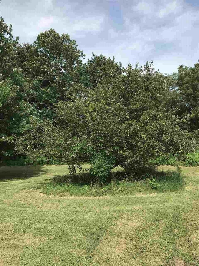 1128 S Huffman Dr, Princeton, IN 47670 - photo 5