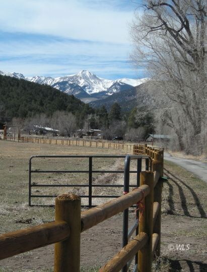 View of Hunt's Peak up driveway