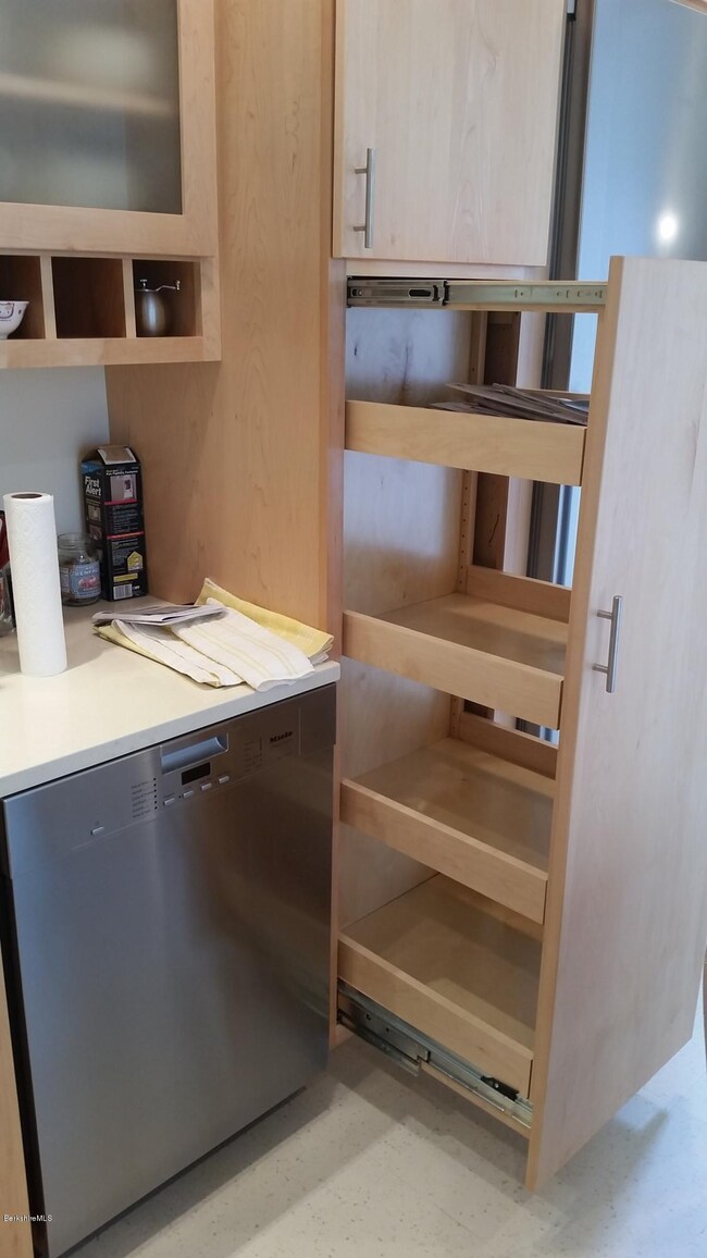 Cabinet with shelves