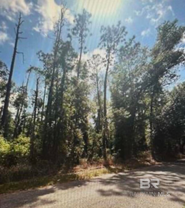 0 Woodhaven Dairy Rd W, Silverhill, AL 36576 - photo 3