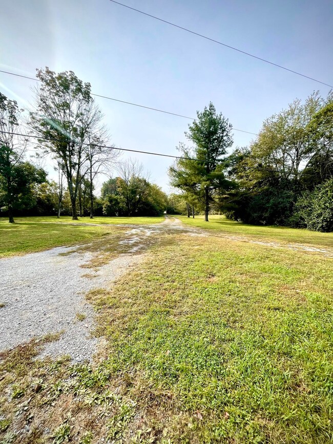 194 Mulberry St, Harrodsburg, KY 40330 - photo 5