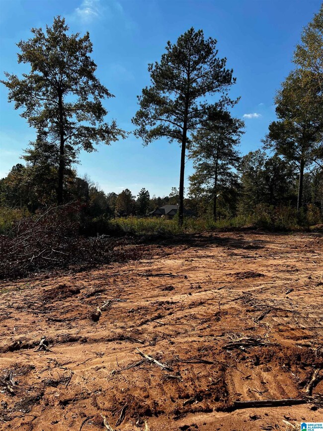 6 Austin Loop unit 62, Vance, AL 35490 - photo 2