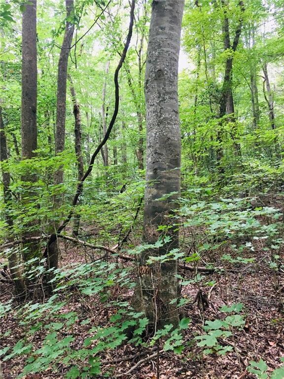 5723 Lou Cranford Rd, Denton, NC 27239 - photo 7