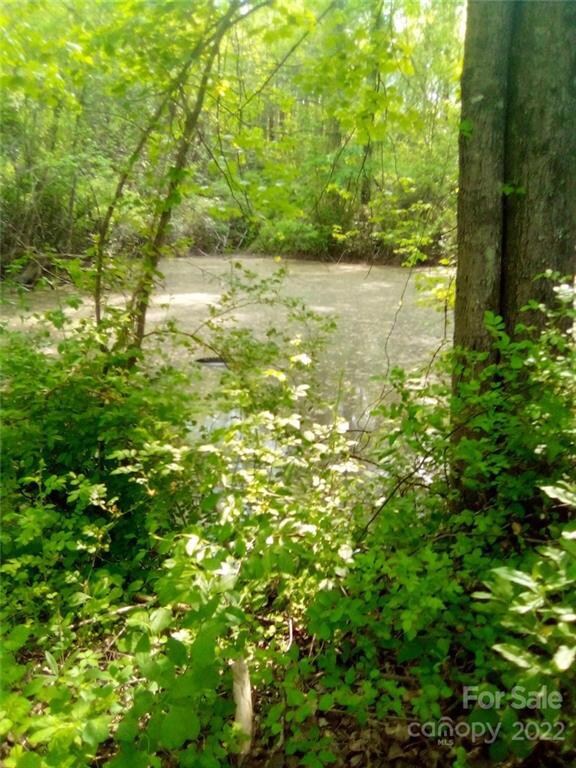 0 Signal Hill Rd unit CAR3855739, Hendersonville, NC 28793 - photo 4