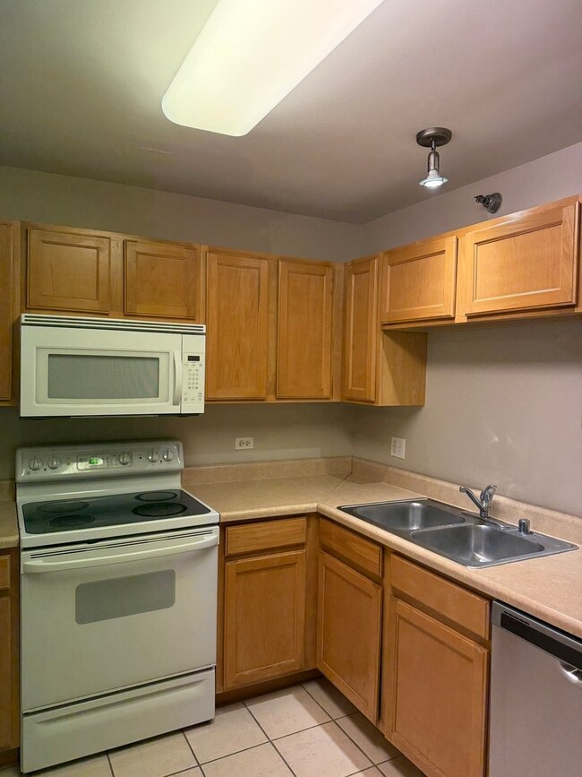 The Sterling unit 209, Chicago, IL 60654 - photo 4