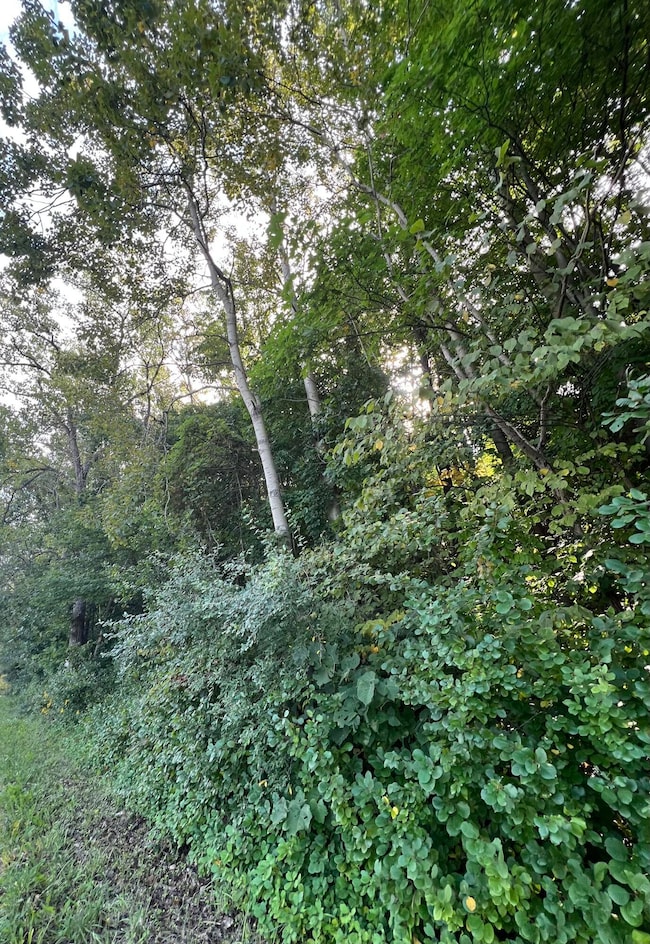 0 W 450 St N unit NRA827579, Michigan City, IN 46350 - photo 2