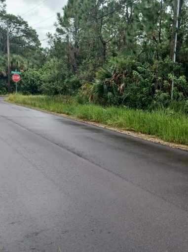 none Fellenz St Sw Fitpatrick Ave SW, Palm Bay, FL 32908 - photo 4