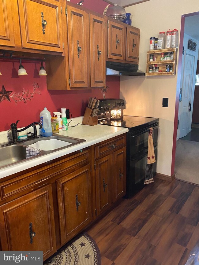 1006 Simmons Mountain Rd, Sugar Grove, WV 26815 - photo 3