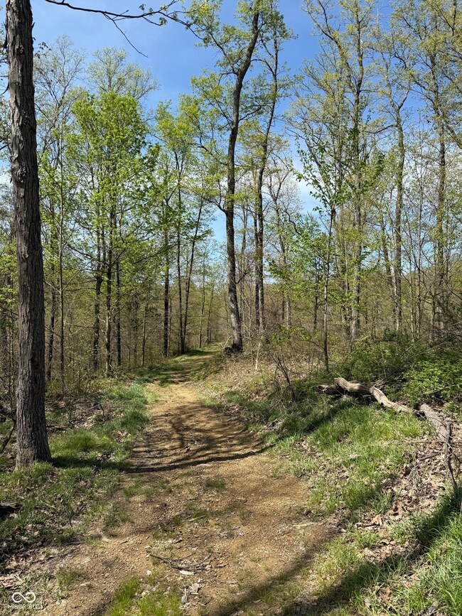 8448 E Dobbs Cemetary Rd, Columbus, IN 47201 - photo 3